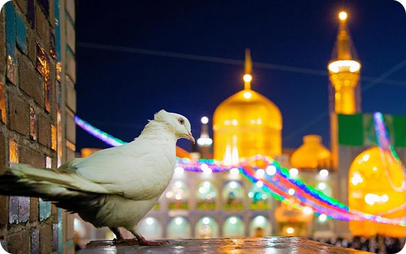 تور مشهد